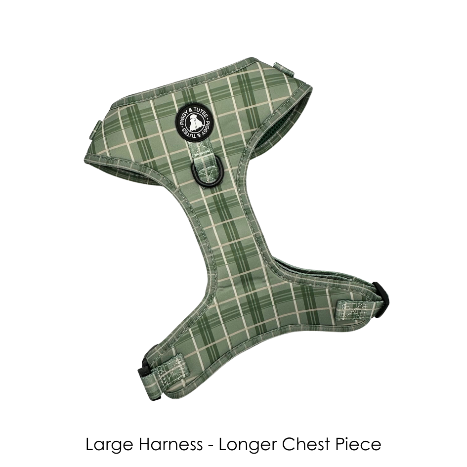 D Ring Adjustable Harness - Check Me Out - Image 4