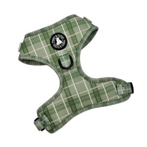 D Ring Adjustable Harness - Check Me Out