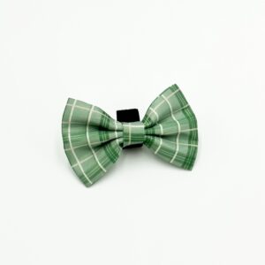 BowTie - Check Me Out