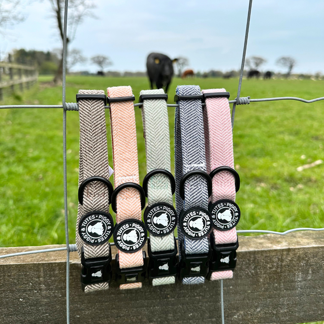 Tweed Collar - Country Navy - Image 2