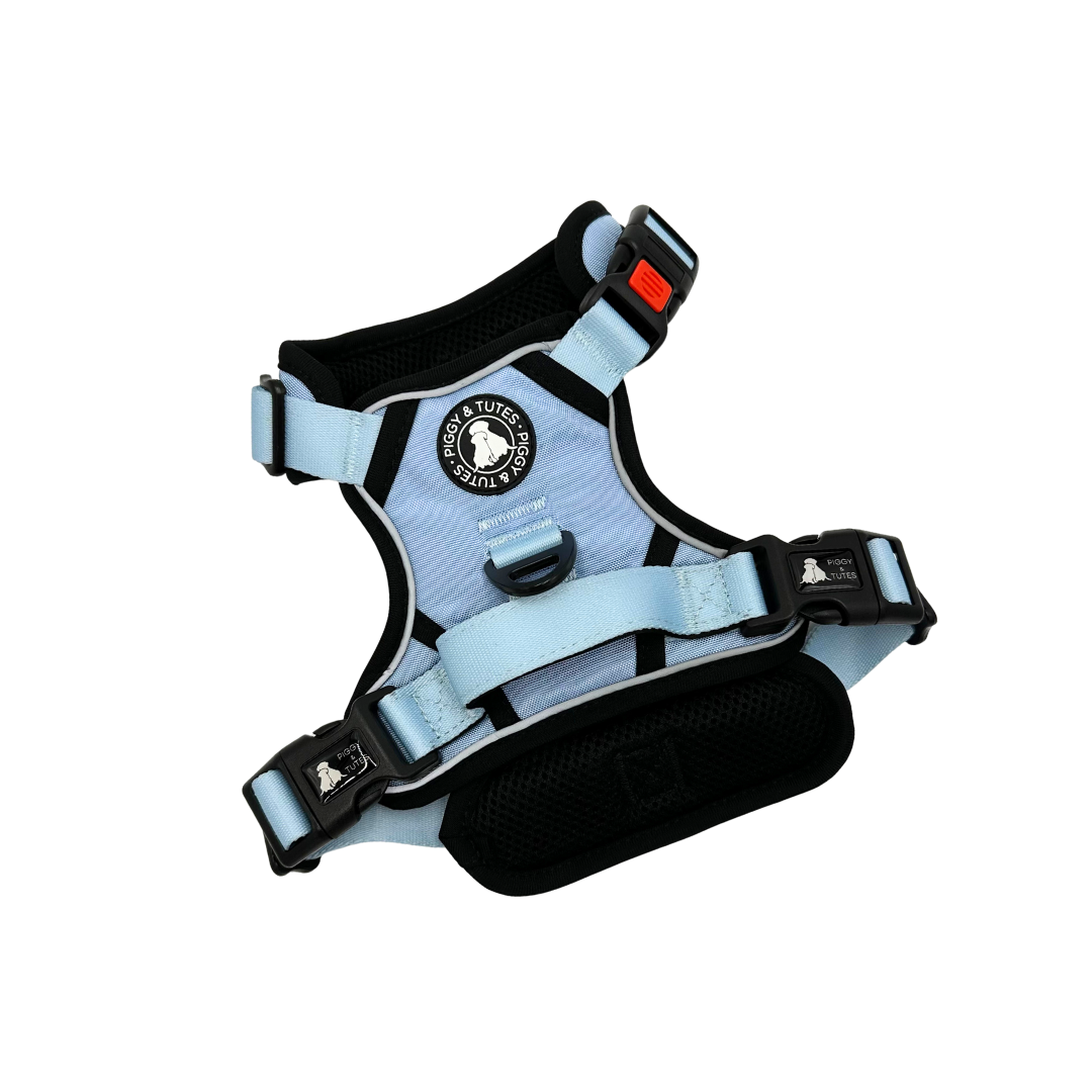 Lead - Sky Blue - Image 2