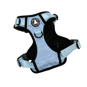 Tough Piggy Harness - Sky Blue