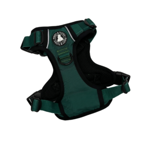Tough Piggy Harness - Forest Green