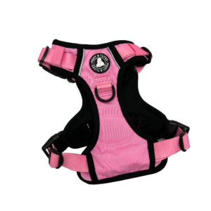 Tough Piggy Harness - Barbie Pink