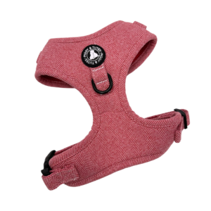 D Ring Adjustable Tweed Harness - Country Red
