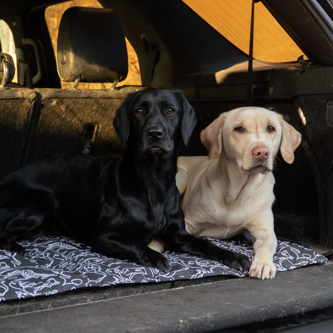 Mutt Mat - Jungle Doodles - Image 6