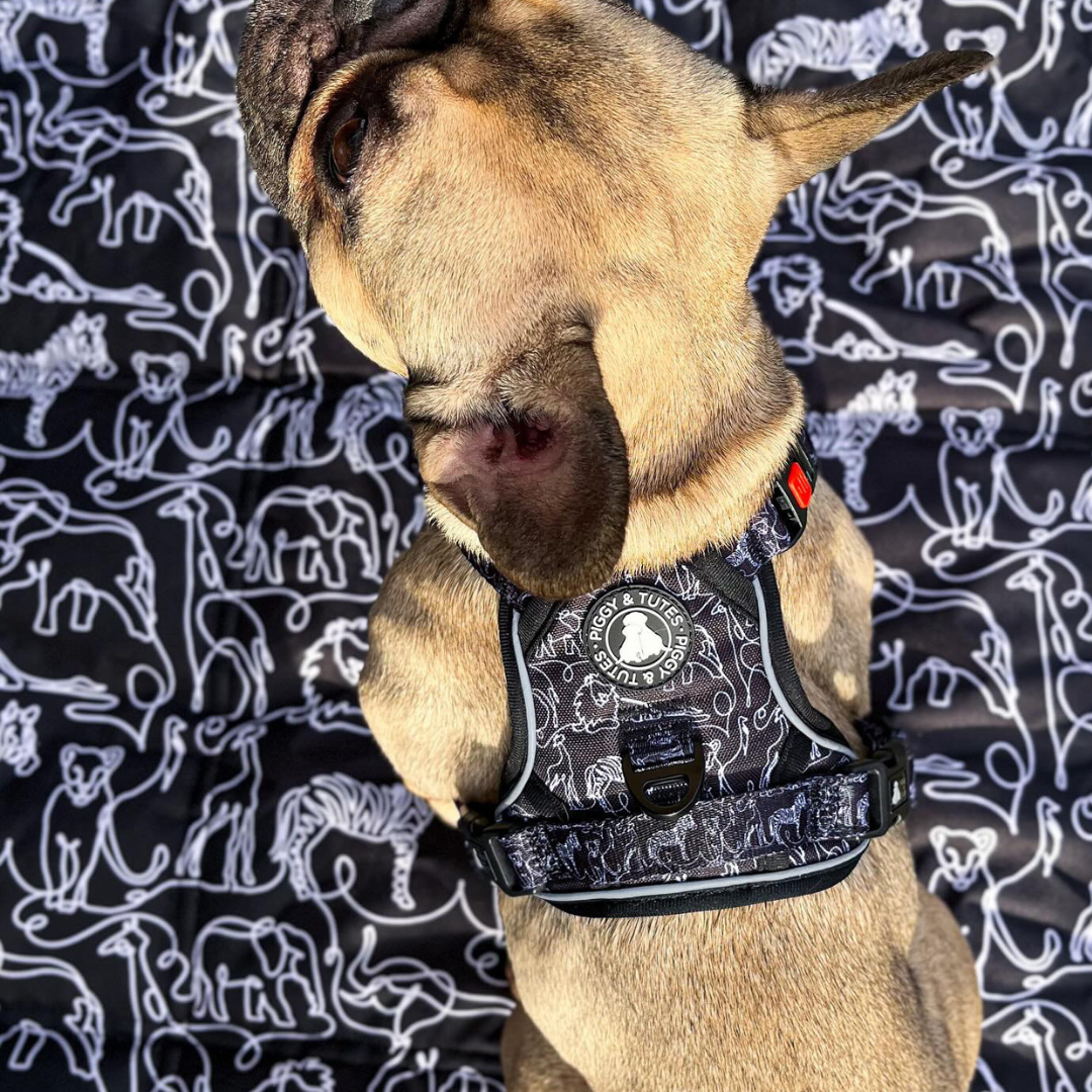 Mutt Mat - Jungle Doodles - Image 5