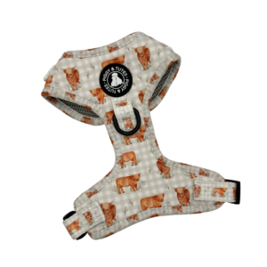 D Ring Adjustable Harness - Gingham Moo