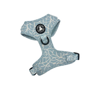 D Ring Adjustable Harness - Spring Splash