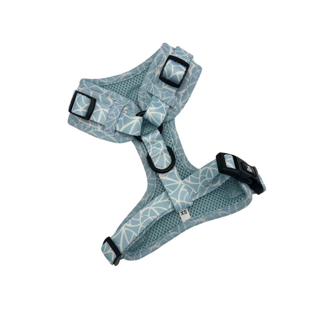 D Ring Adjustable Harness - Spring Splash - Image 2