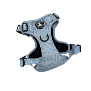 Tough Piggy Harness - Spring Splash