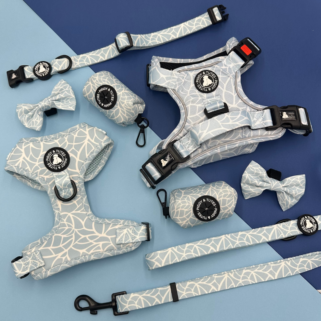 D Ring Adjustable Harness - Spring Splash - Image 3