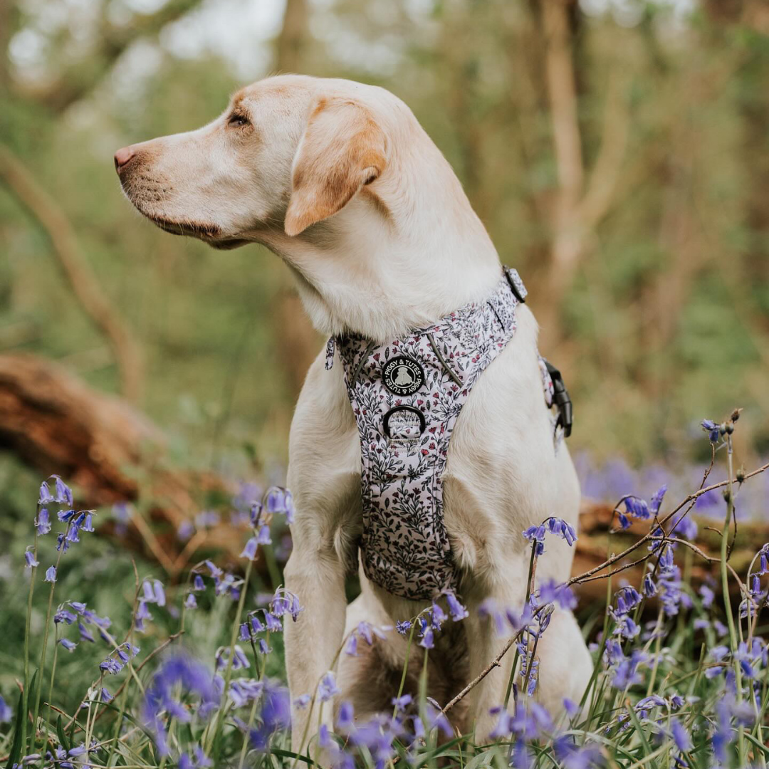 Tough Piggy Harness - Wildflowers - Image 3