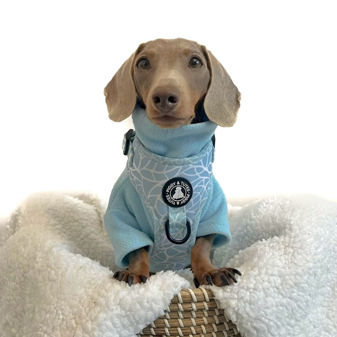 D Ring Adjustable Harness - Spring Splash - Image 5