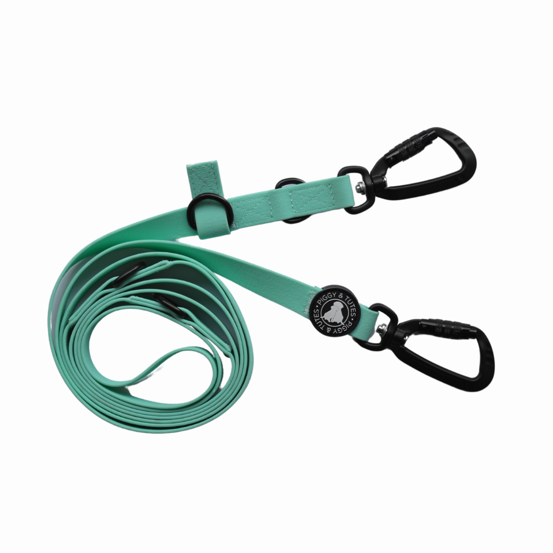 Waterproof Double Ended Lead - Aqua