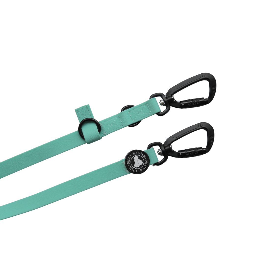 Waterproof Double Ended Lead - Aqua - Image 2
