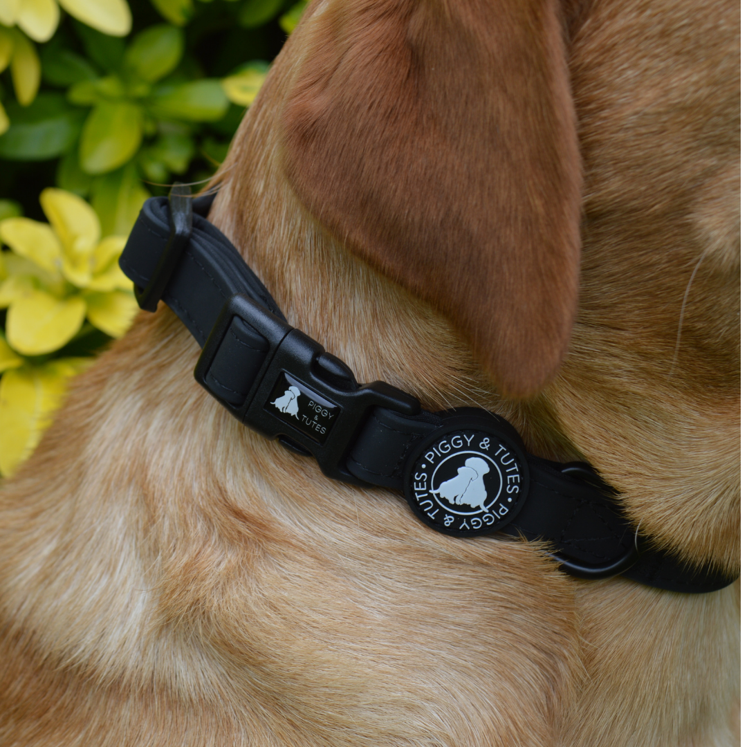 Waterproof Collar - Black - Image 2