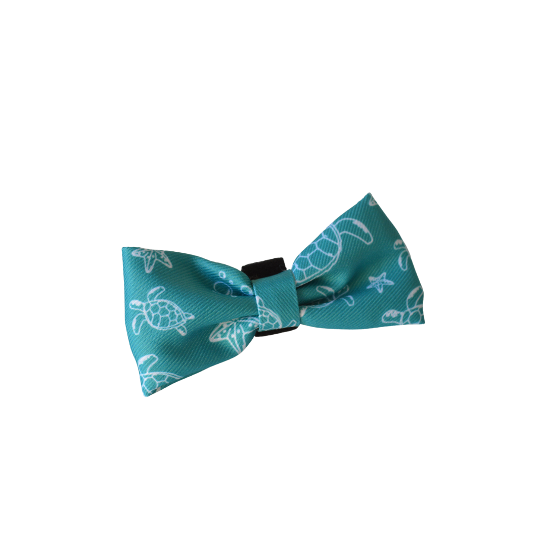 BowTie - Turtle Tides