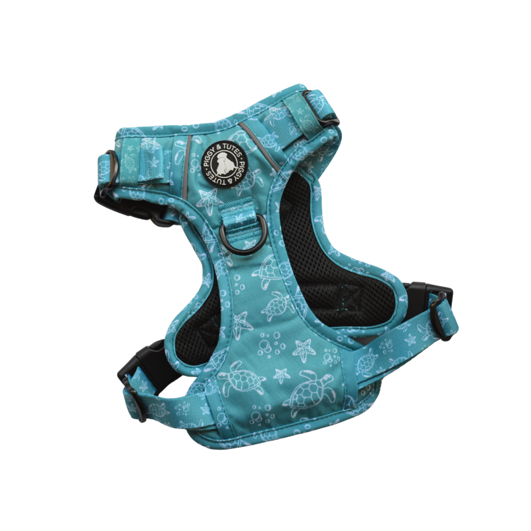 Tough Piggy Harness - Turtle Tides