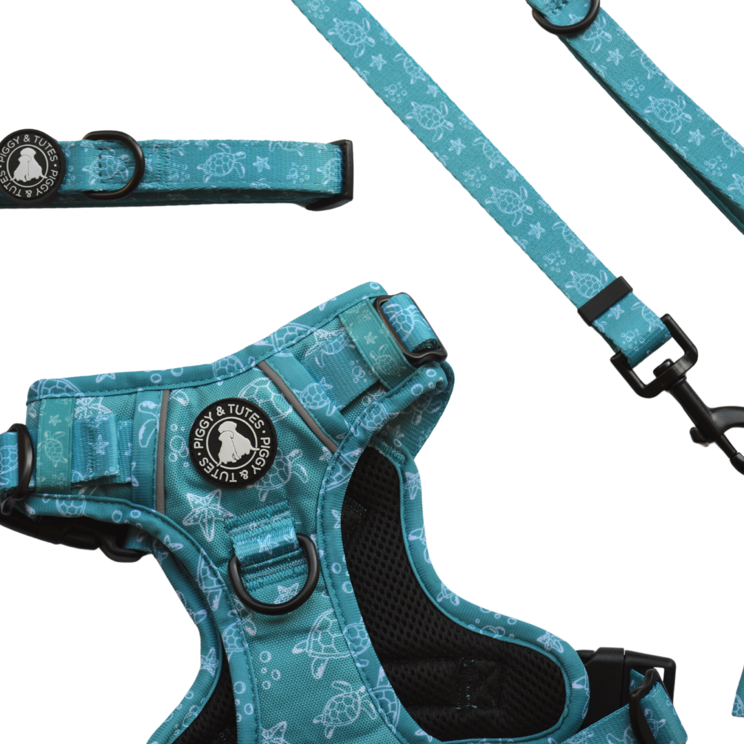Tough Piggy Harness - Turtle Tides - Image 5