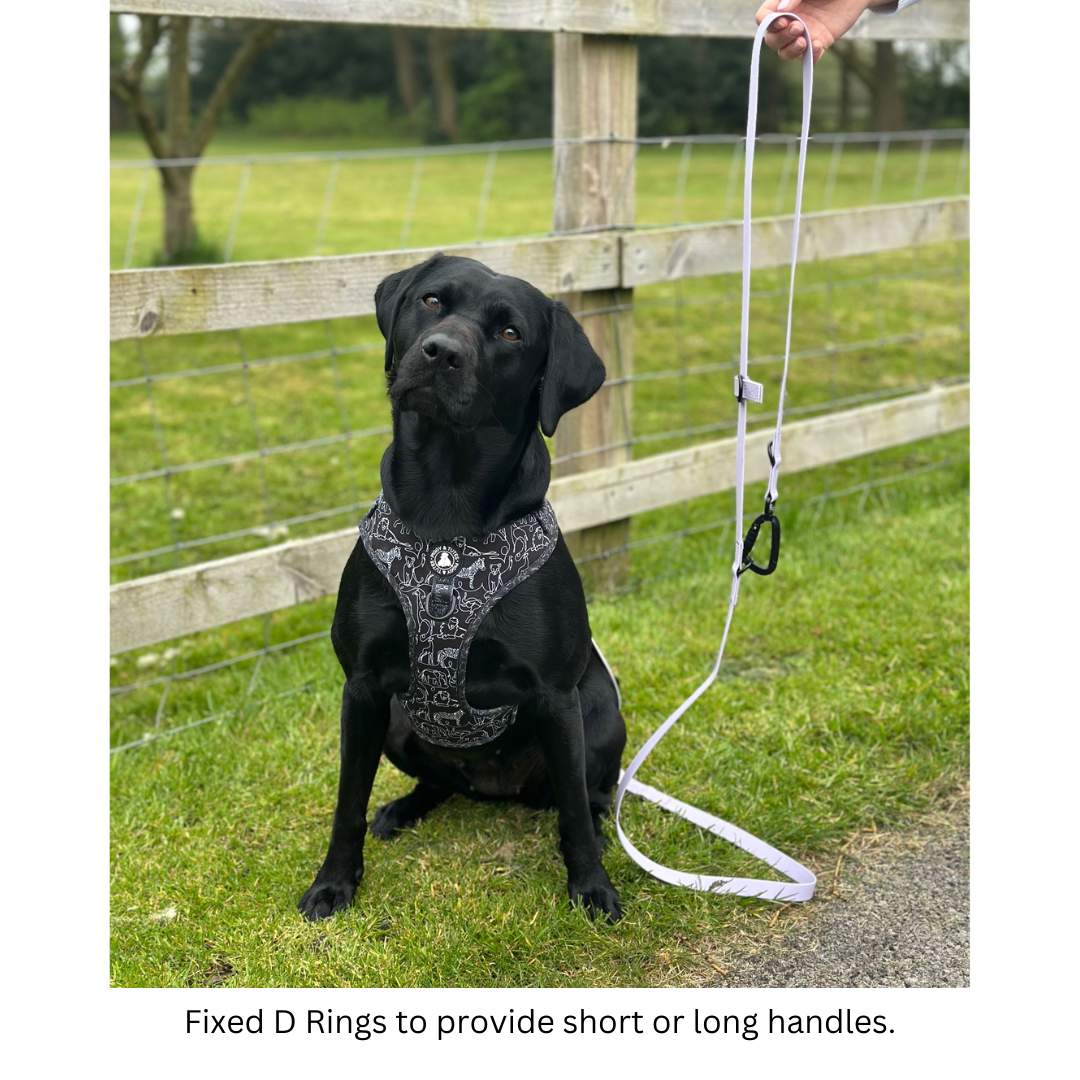 Waterproof Double Ended Lead - Lilac - Image 5