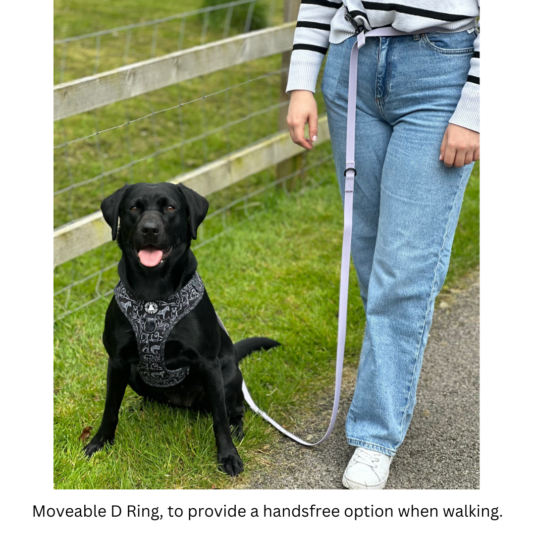 Waterproof Double Ended Lead - Lilac - Image 4