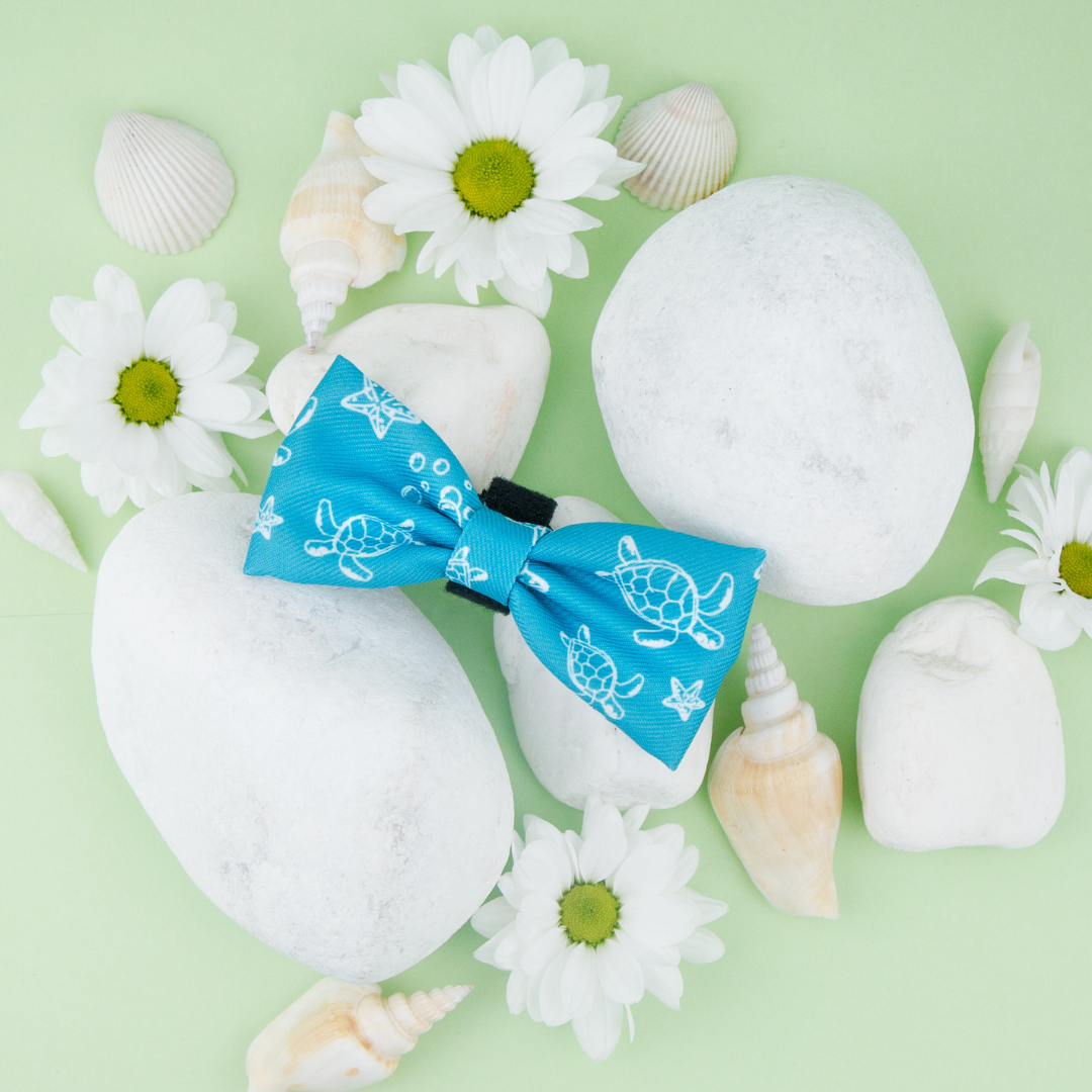 BowTie - Turtle Tides - Image 2