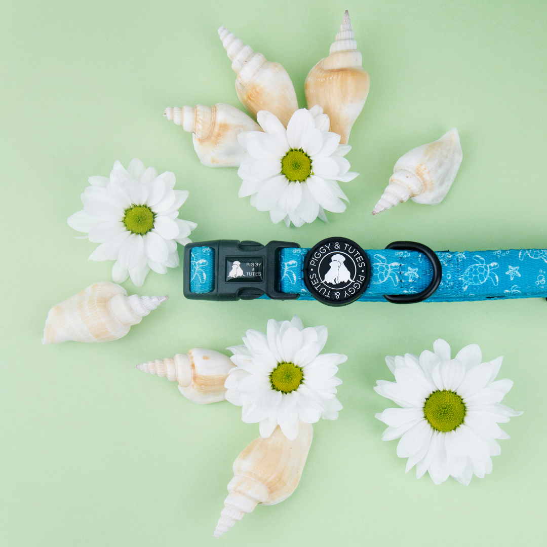 Collar - Turtles Tides - Image 3