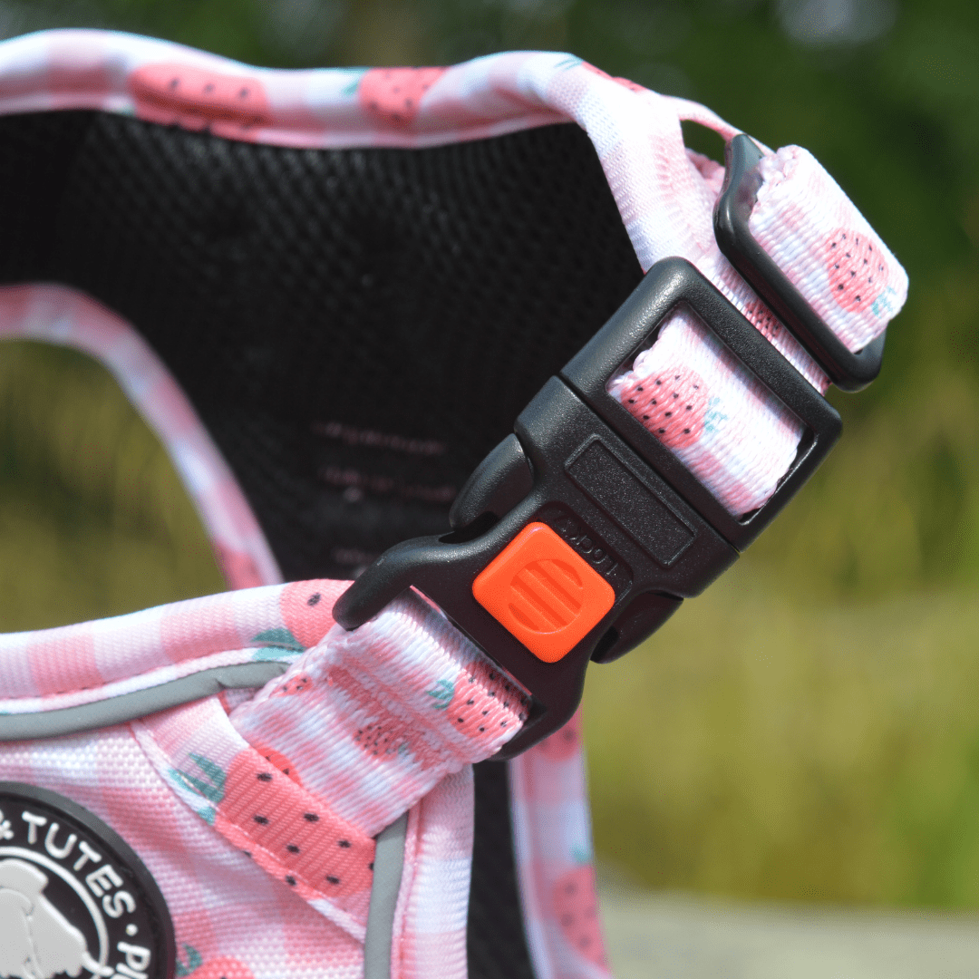 Tough Piggy Harness - Strawberries & Cream - Image 2