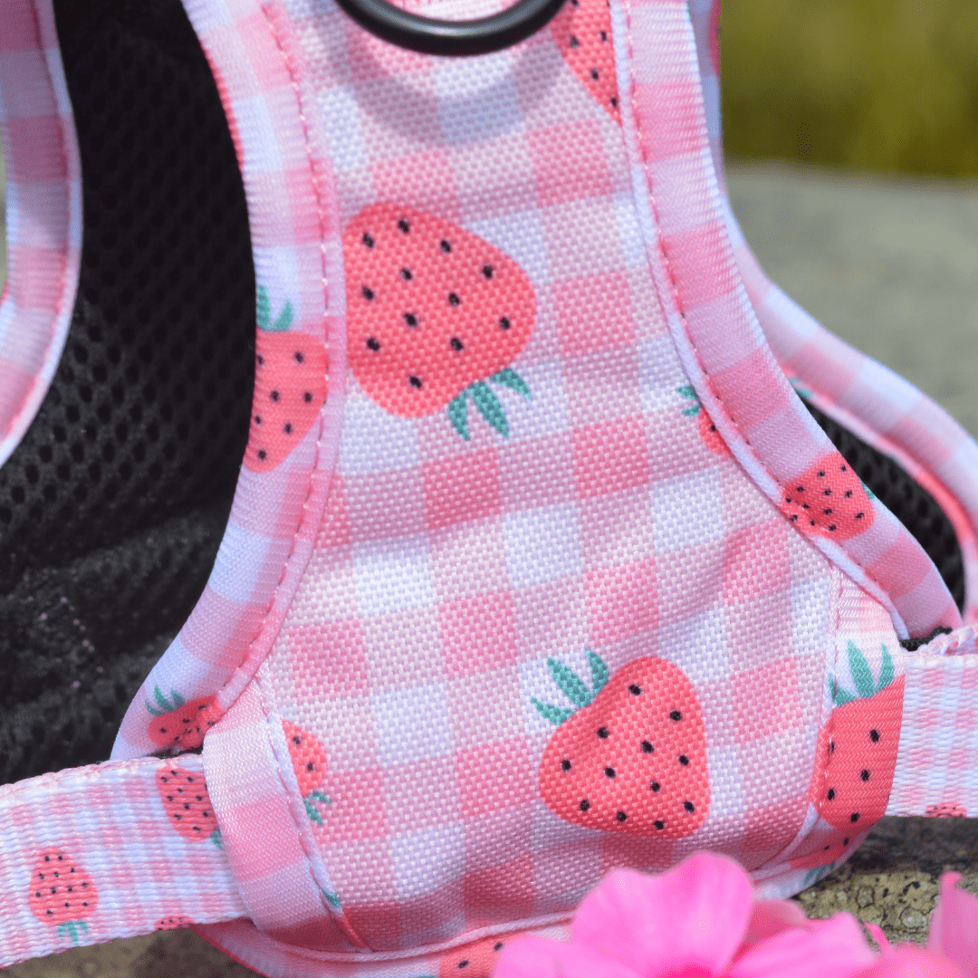 Tough Piggy Harness - Strawberries & Cream - Image 3