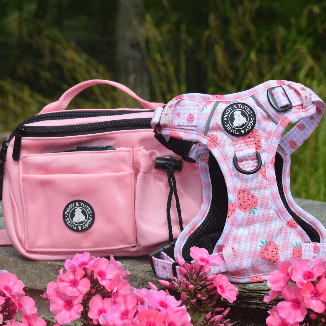 Tough Piggy Harness - Strawberries & Cream - Image 4
