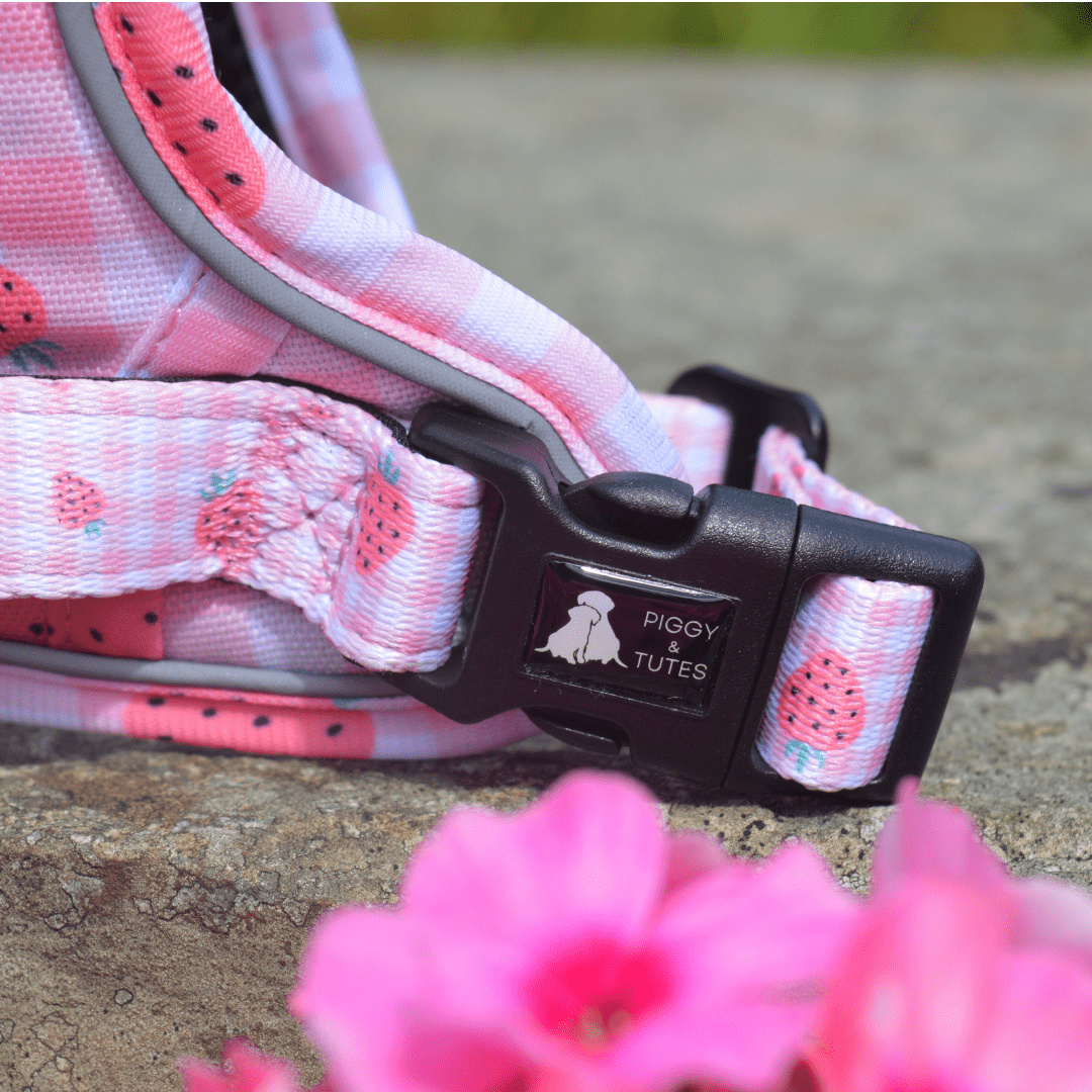 Tough Piggy Harness - Strawberries & Cream - Image 5