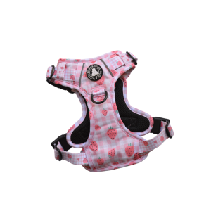 Tough Piggy Harness - Strawberries & Cream