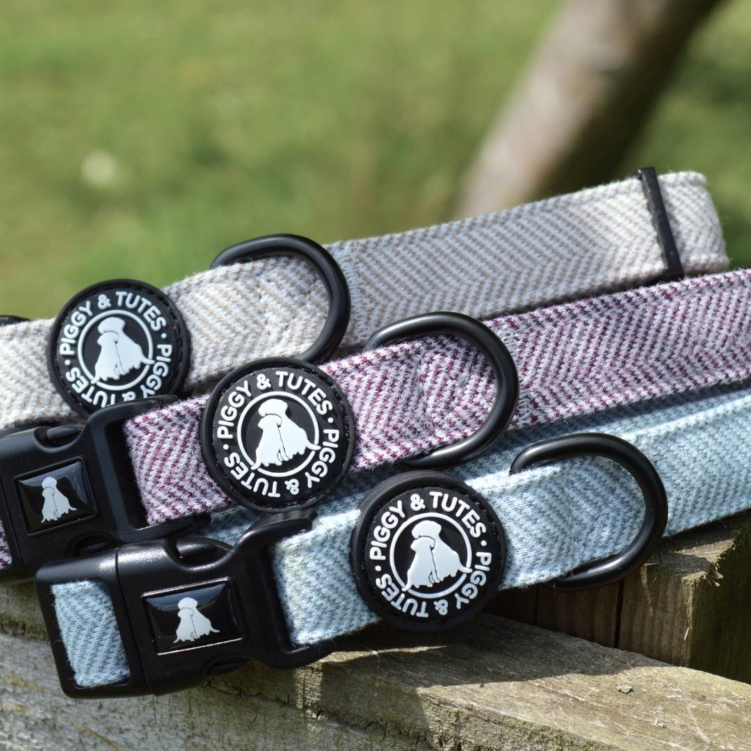 Tweed Collar - Country Purple - Image 3